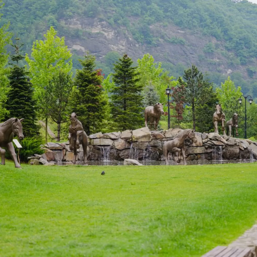 Sa descoperim statiunile cu ape minerale curative din judetul Valcea, benefice pentru sanatate