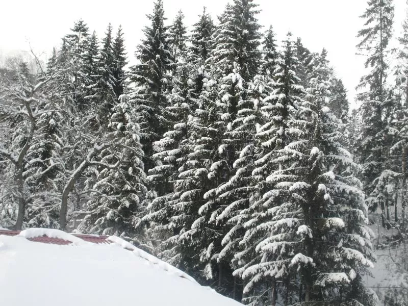 Revelion 2025 Sinaia Hotel Arca lui Noe