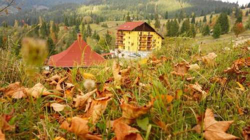 Vacanta in Bucovina Sadova Pensiunea Steaua Nordului***