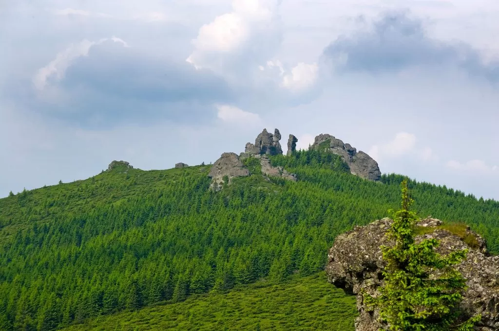 Sarbatori de Pasti in Bucovina 2023 Poiana Negrii Pensiunea La Bella Vista****