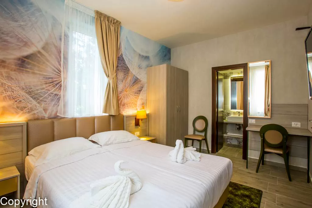 Sejur odihna 2020 Baile Olanesti - Hotel Florilor***