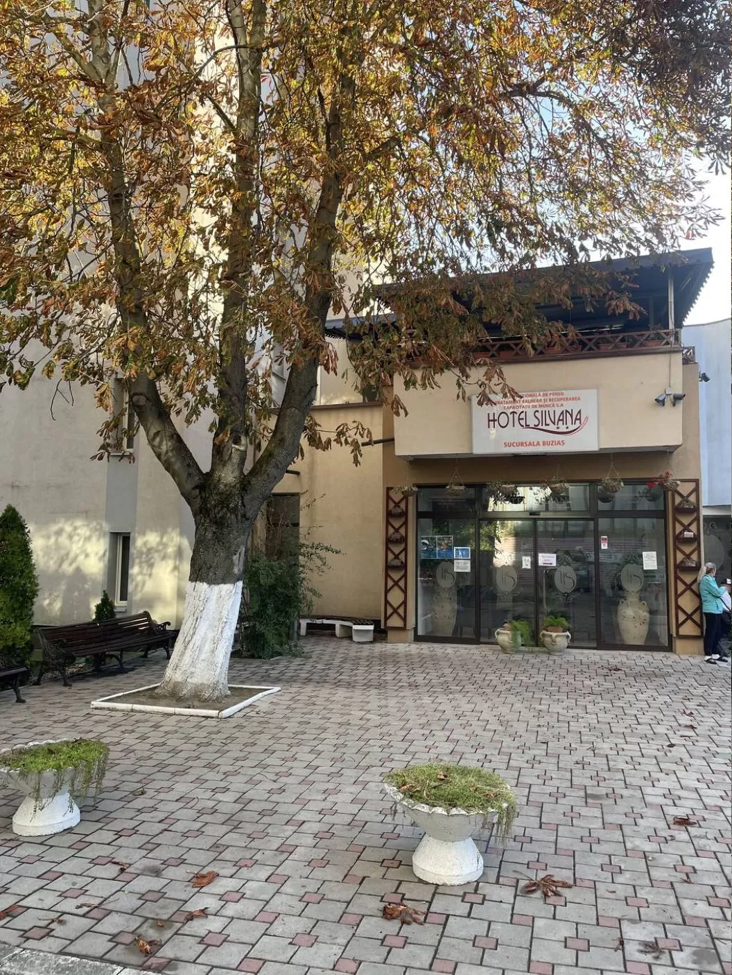 Tratament balnear 2026 Buzias Hotel Silvana