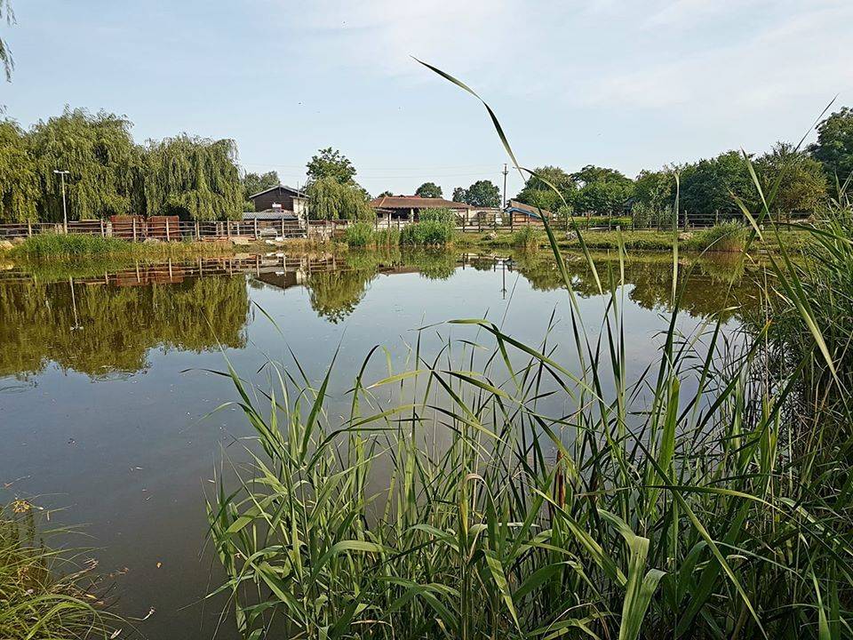 Sejur Delta Dunarii 2023 Murighiol Puflene Resort