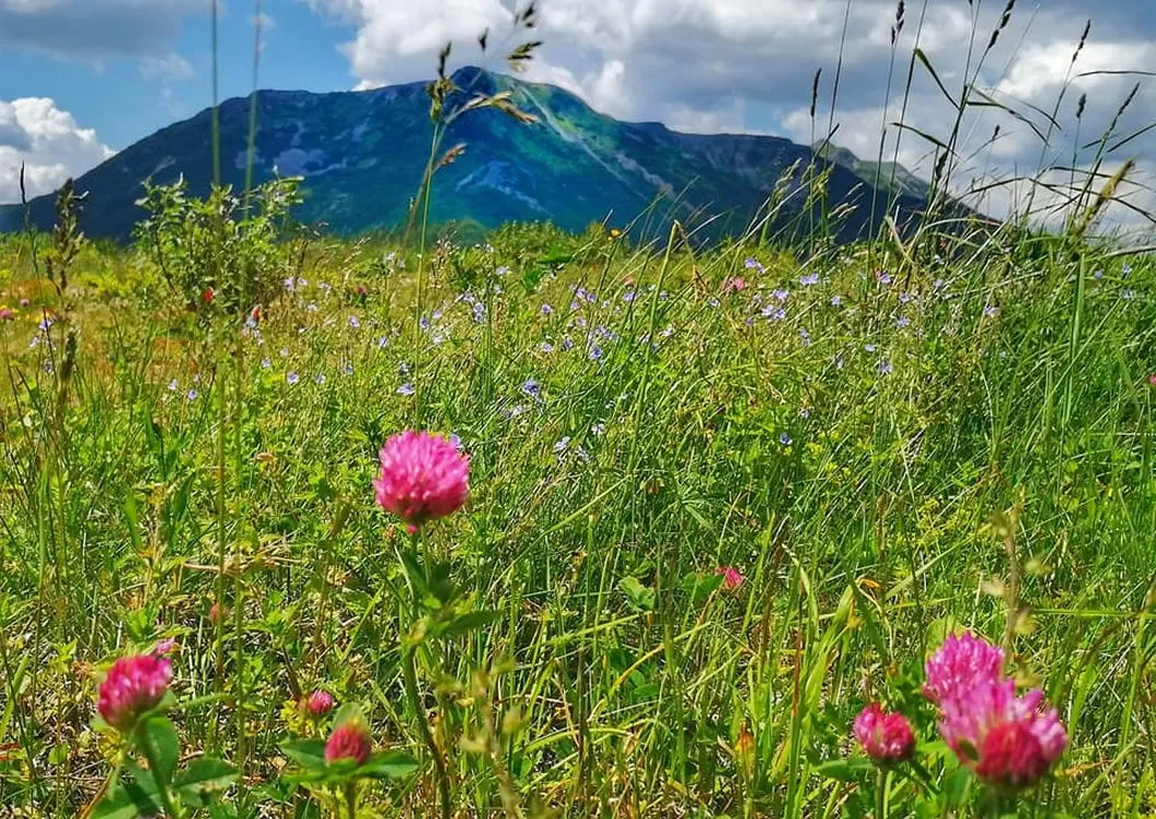 Sejur odihna 2024-2025 Vatra Dornei Hotel Carol