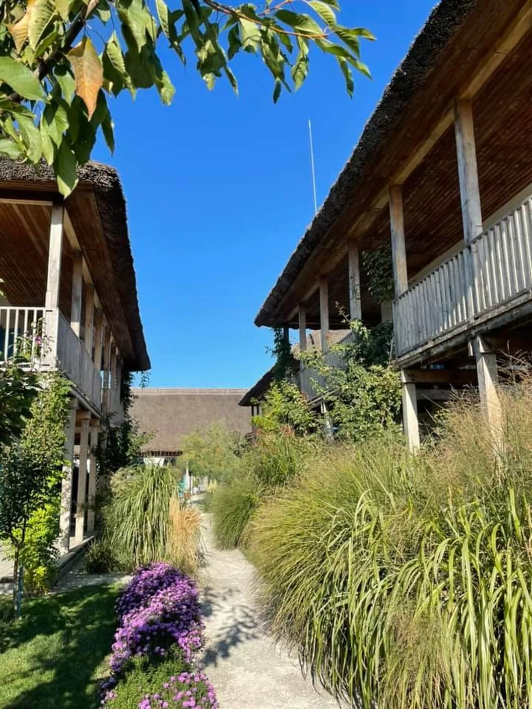 Vacanta 2025 Delta Dunarii Chilia Veche Limanul Resort