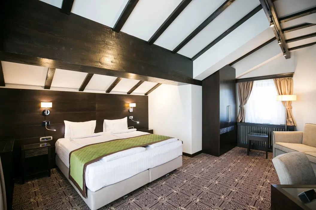 Relaxare la Munte 2026 Paltinis Hotel Castelnor