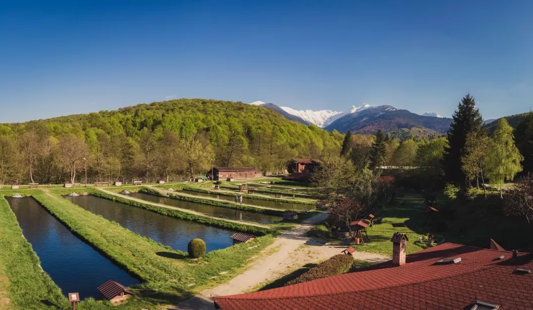 Sarbatori de Pasti 2025 in Tara Fagarasului Pastravaria Albota