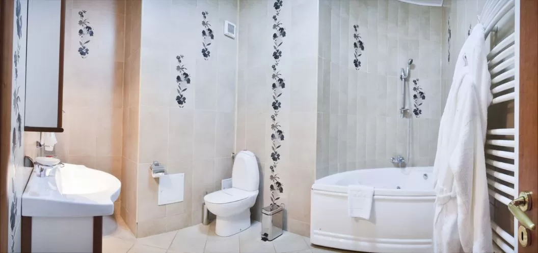 Cazare 2021 Craiova Hotel Emma West**** 