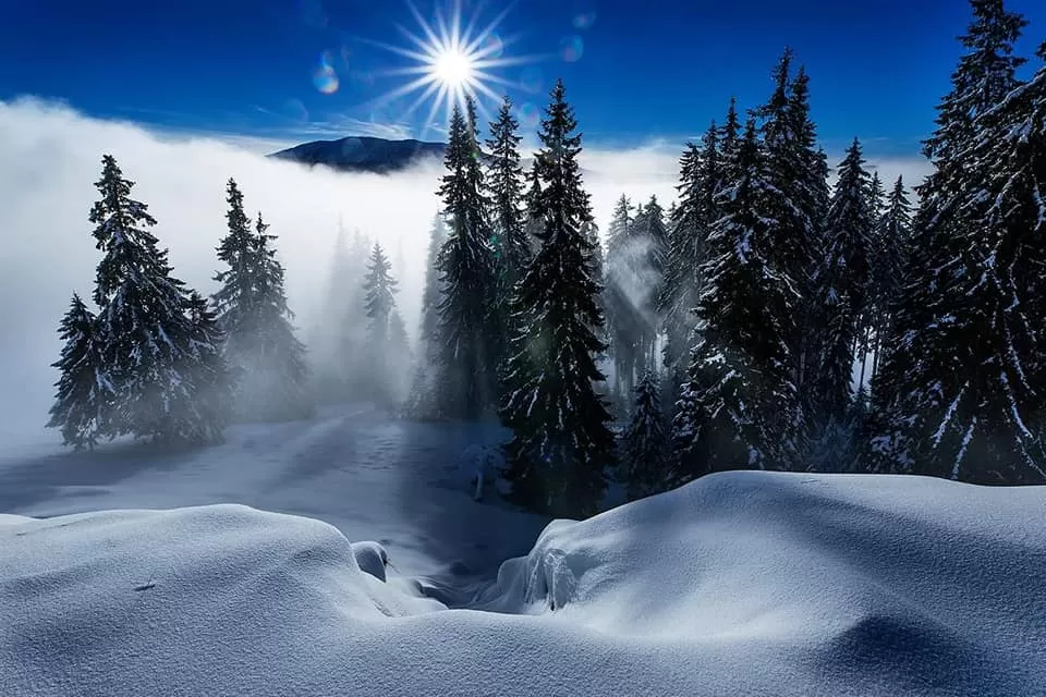 Minivacanta la Ski 2023 Predeal Hotel Belvedere*** 