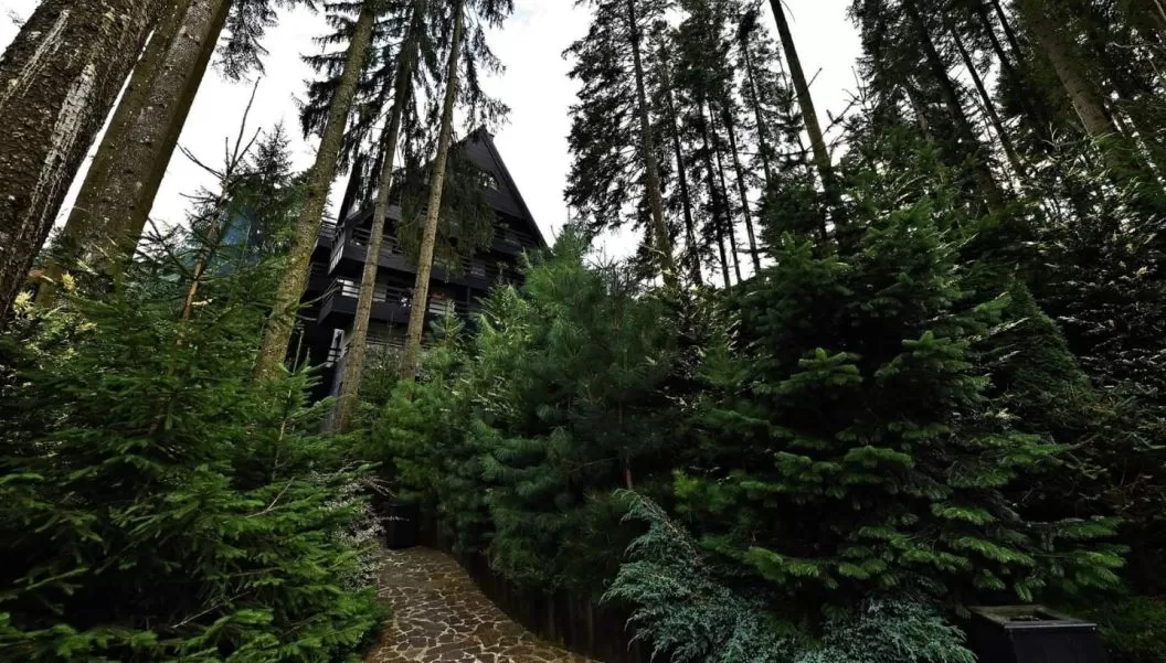 Sfantul Andrei si Ziua Nationala 2025 Sinaia Hotel Smart