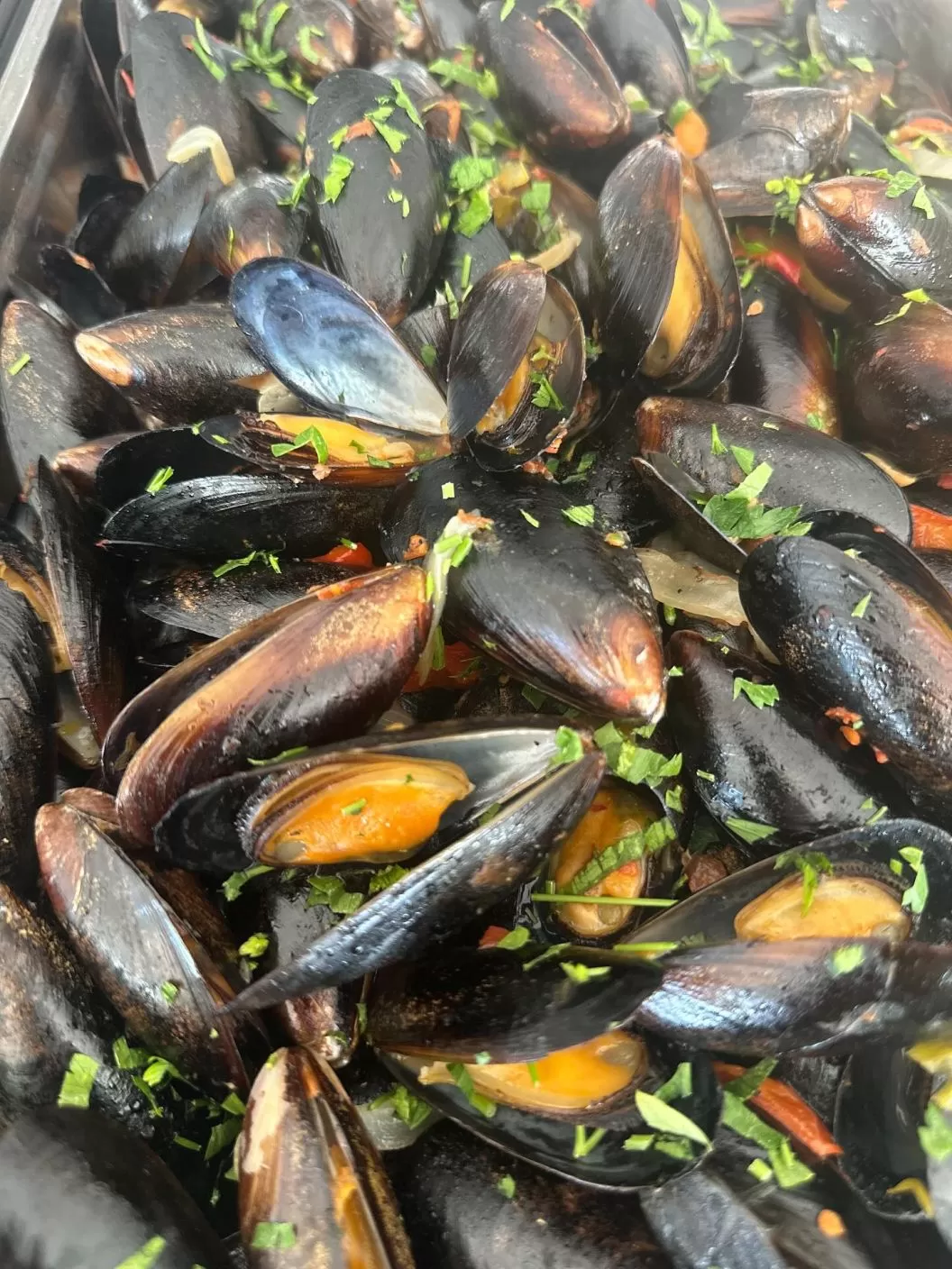 Sejur litoral 2026 Mamaia Hotel Savoy