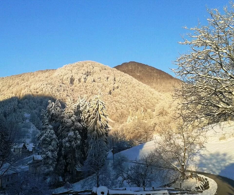 Sejur Ski 2020 Brzece Hotel Ozon*** 