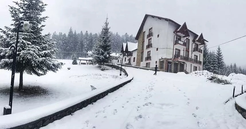 Halloween 2023 in Bucovina Manastirea Humorului Hotel Floare de Colt***