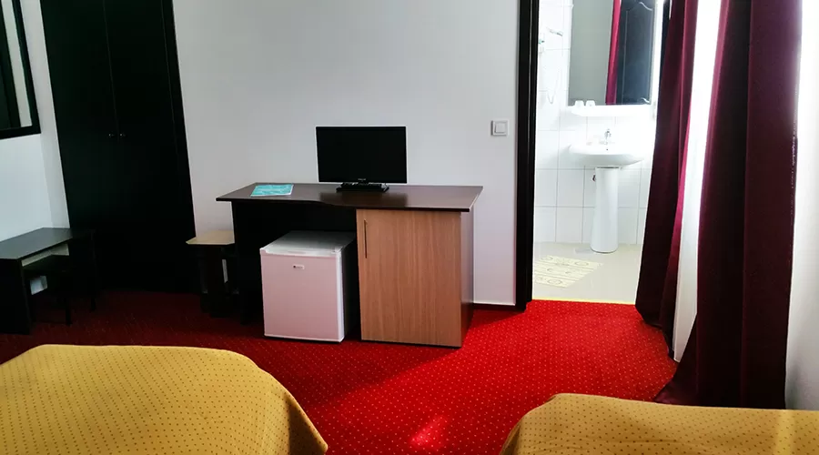 Sejur odihna 2022 pe Valea Oltului Calimanesti Hotel Teilor***