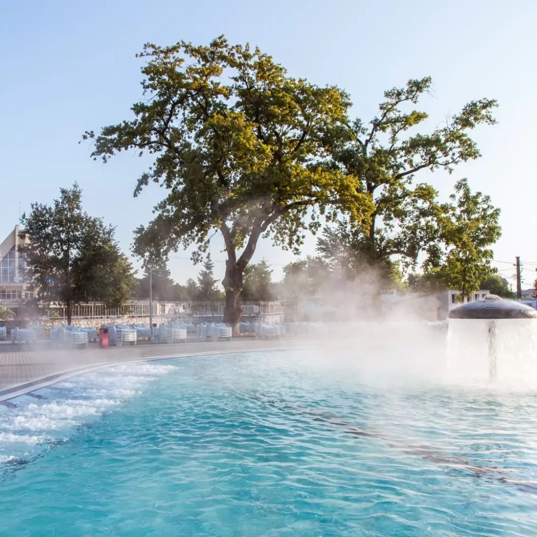 Sarbatori de Pasti 2026 Baile Felix Hotel Nufarul