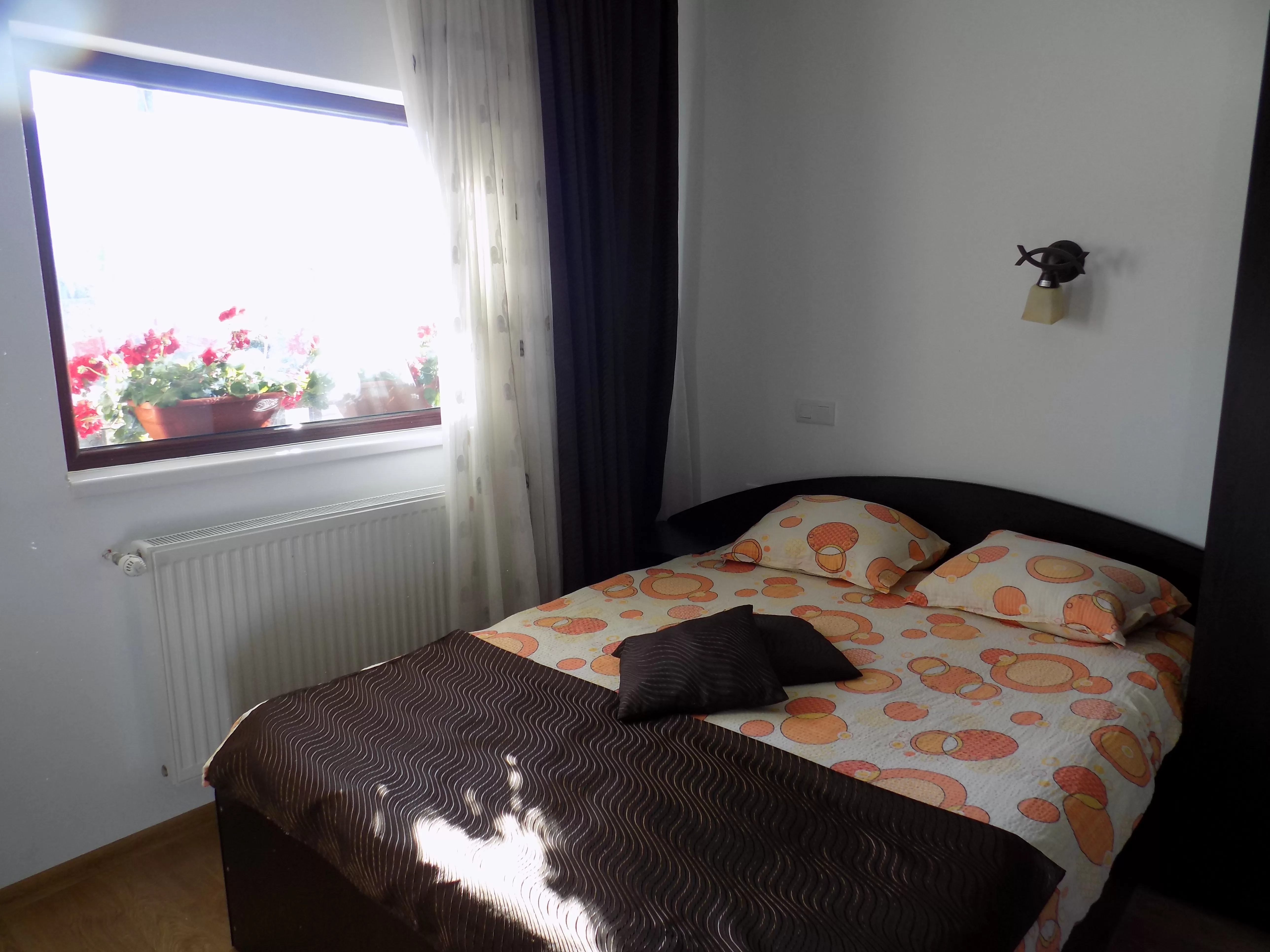 Vacanta schi in Ranca Vila Phoenix***