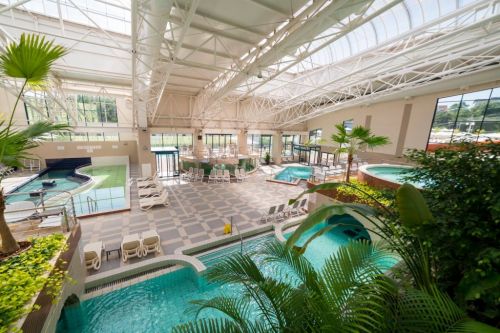 Oferte Wellness & SPA