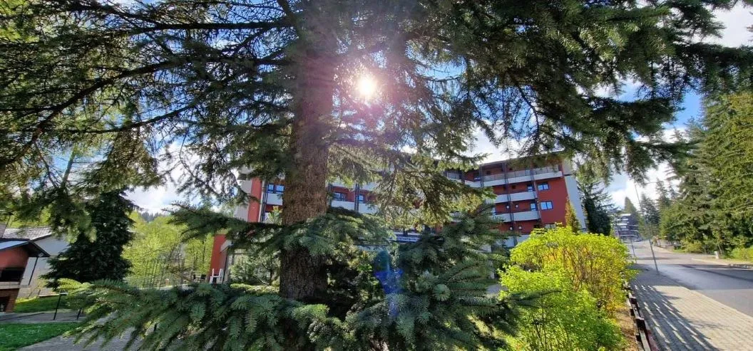 Valentine’s Day 2026 la Predeal Hotel Carpati