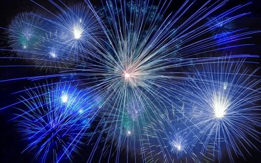 Revelion 2024 la poalele Caraimanului Busteni Vila Leonida***