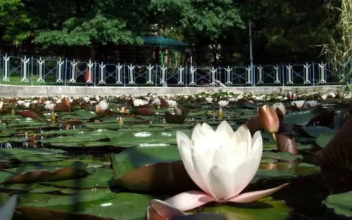 Sarbatori de Pasti 2026 Baile Felix Complex President Corp President