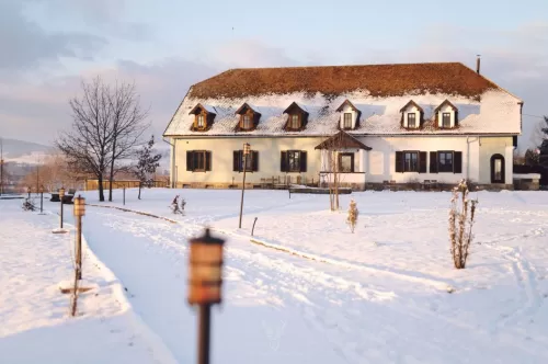 Revelion 2026 in Ardeal Talisoara Castel Daniel****