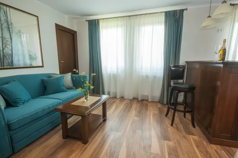 Revelion 2022 in Slanic Prahova Pensiunea Muntele Verde****