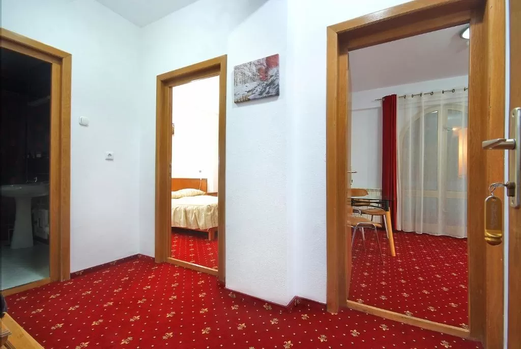 Sejur Medical la Munte 2024 Slanic Moldova Vila Teleconstructia