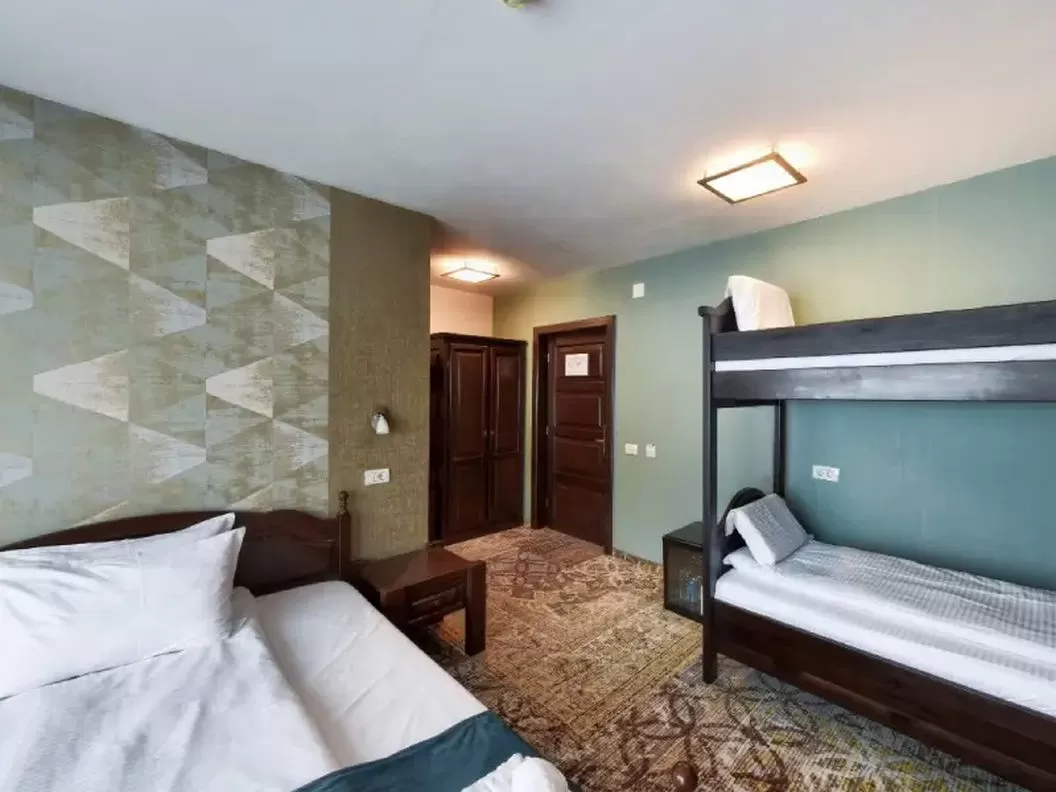 Revelion 2025 in Muntii Sureanu Hotel Poarta Raiului
