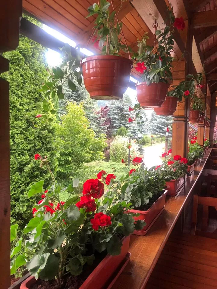Sarbatori de Pasti 2024 Bucovina Voronet Complex Turistic Casa Elena