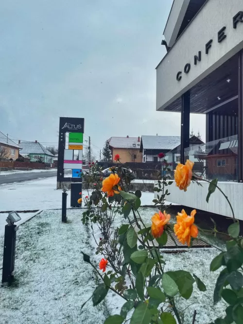 Sfantul Andrei si Ziua Nationala  2025 Praid Hotel Altus SPA***