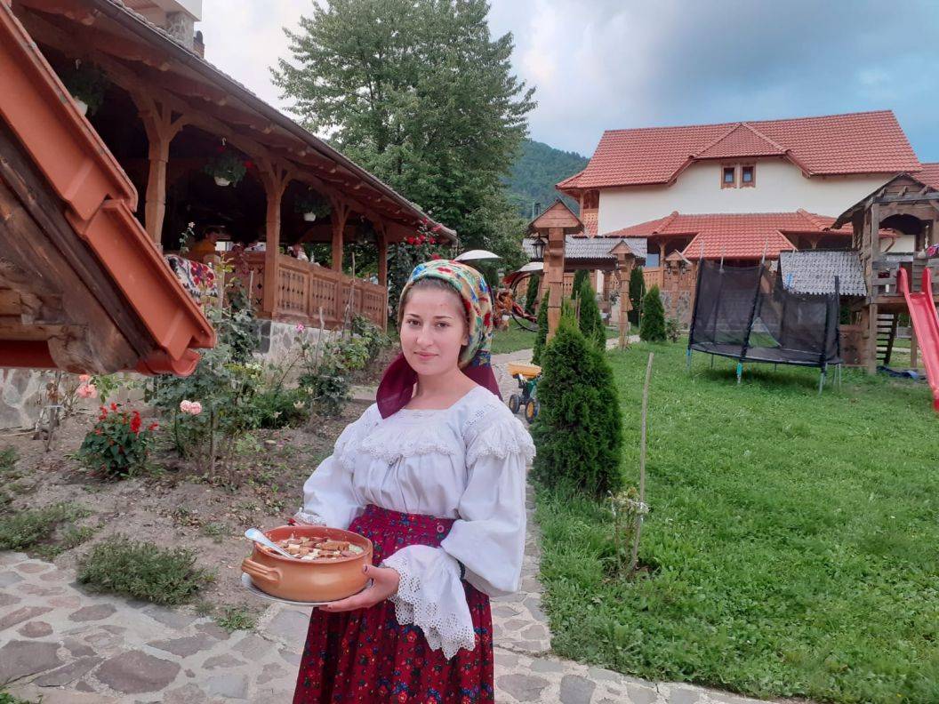 Sejur Maramures Nanesti Pensiunea Valea Branzei