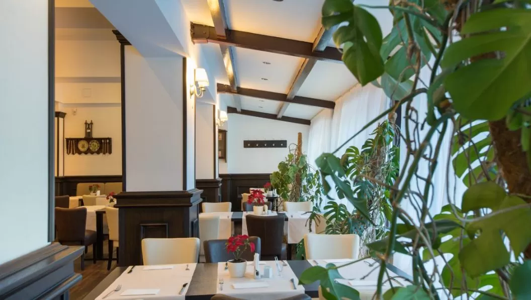Sejur odihna 2024 in Parcul Natural Bucegi Hotel Pestera****