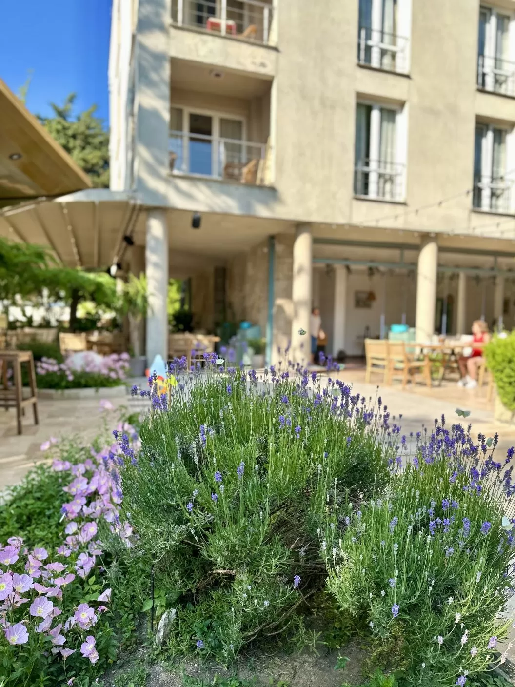 Litoral 2026 Eforie Nord Hotel Carmen