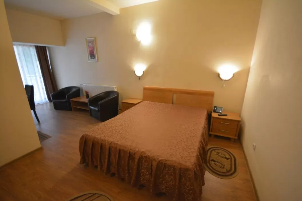 Pachet Refacere si Relaxare 2025 Geoagiu Bai Hotel Aida