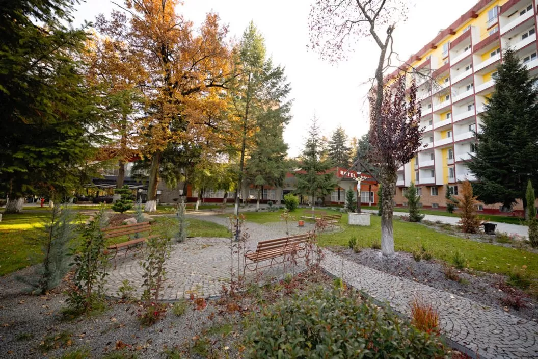 Tratament Balnear 2024 Baile Felix Hotel Padis*** Asigurati 