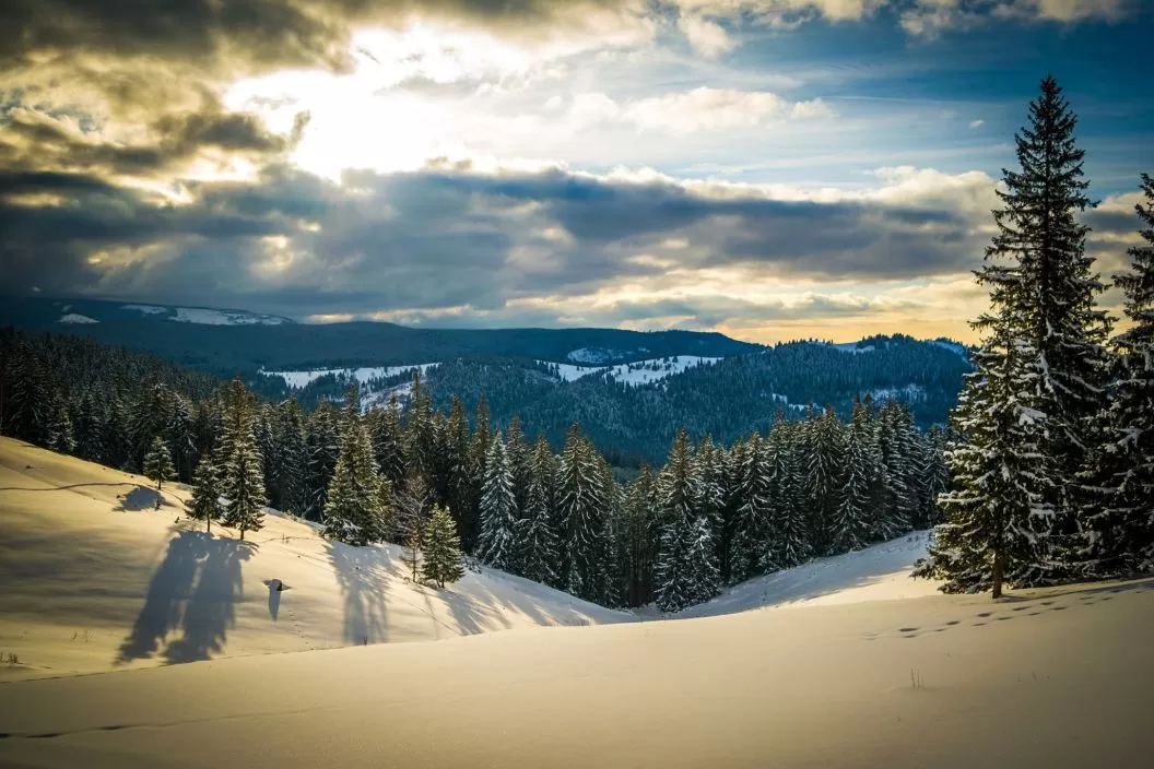 Revelion 2025 Bucovina Vatra Dornei Hotel Dorna