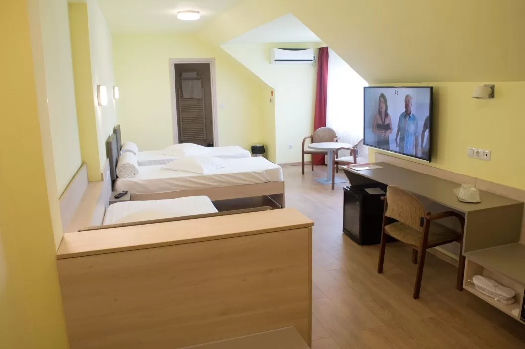 Cazare Cluj Napoca Vila Rosa***