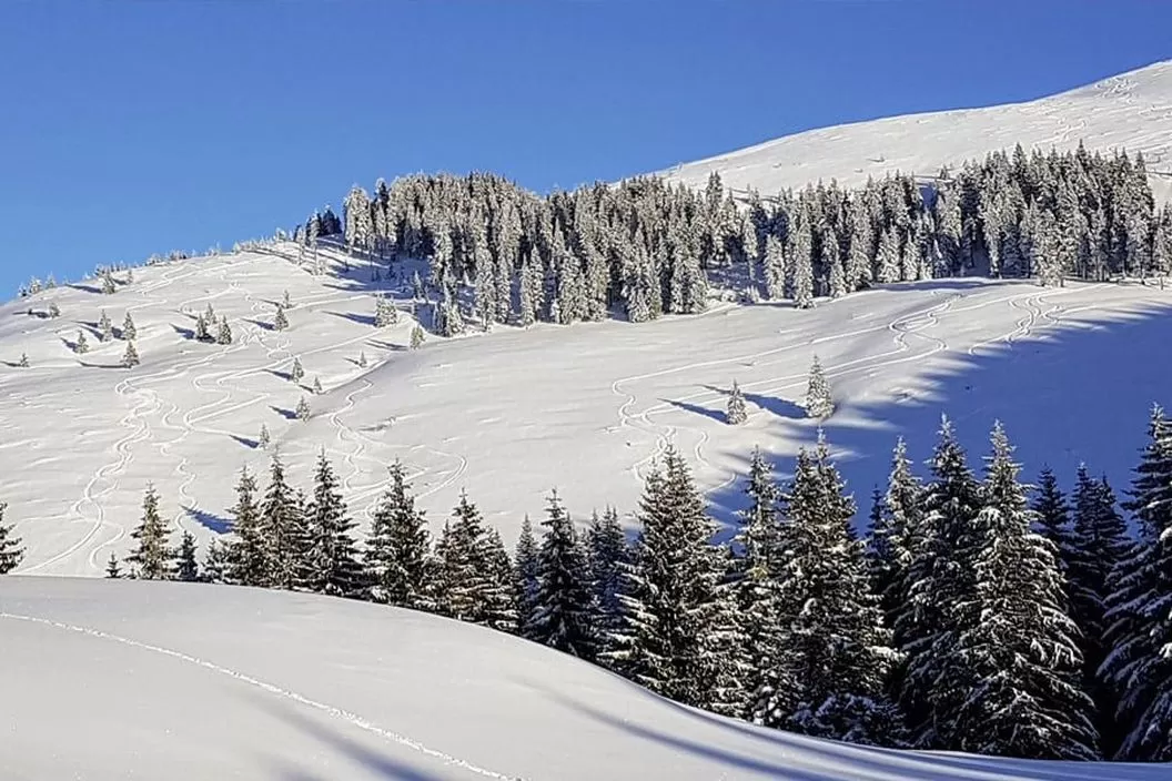 Craciun 2023 Cheile Gradistei Resort Moeciu*** 