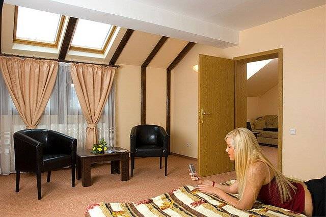 Cazare 2021-2022 Brasov Pensiunea Ambient***
