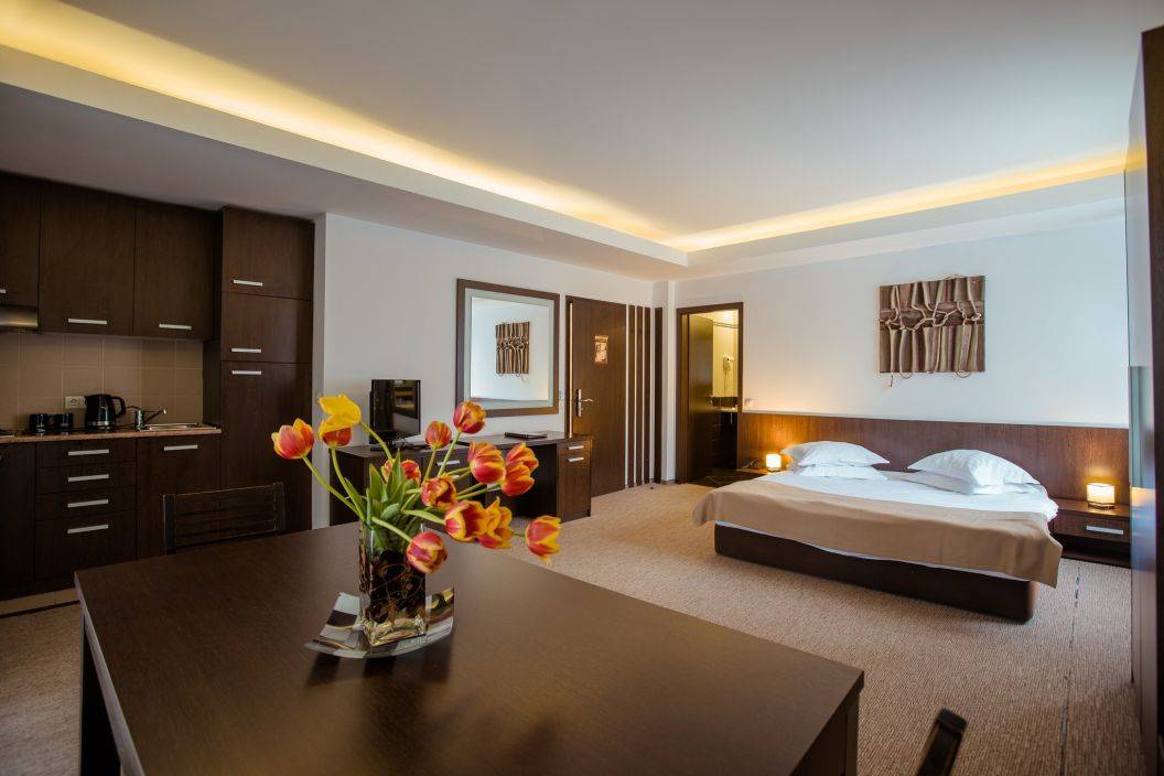 Sejur odihna 2025 Sinaia Hotel Smart