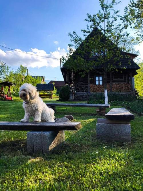 Vacanta in Maramures Breb Pensiunea Marioara***