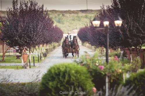 Vacanta 2025 in Ardeal Ogra Mures Castel Haller