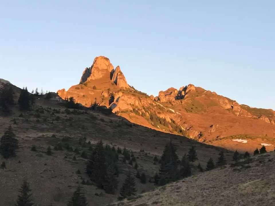 Splendoarea Bujorului de Munte in Muntii Ciucas