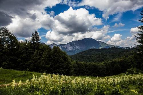 Sejur odihna 2023 Predeal Hotel Piemonte****