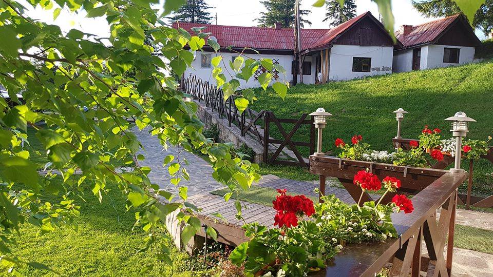 Sejur Odihna la Munte 2022 Paltinis Pensiunea Rafael****