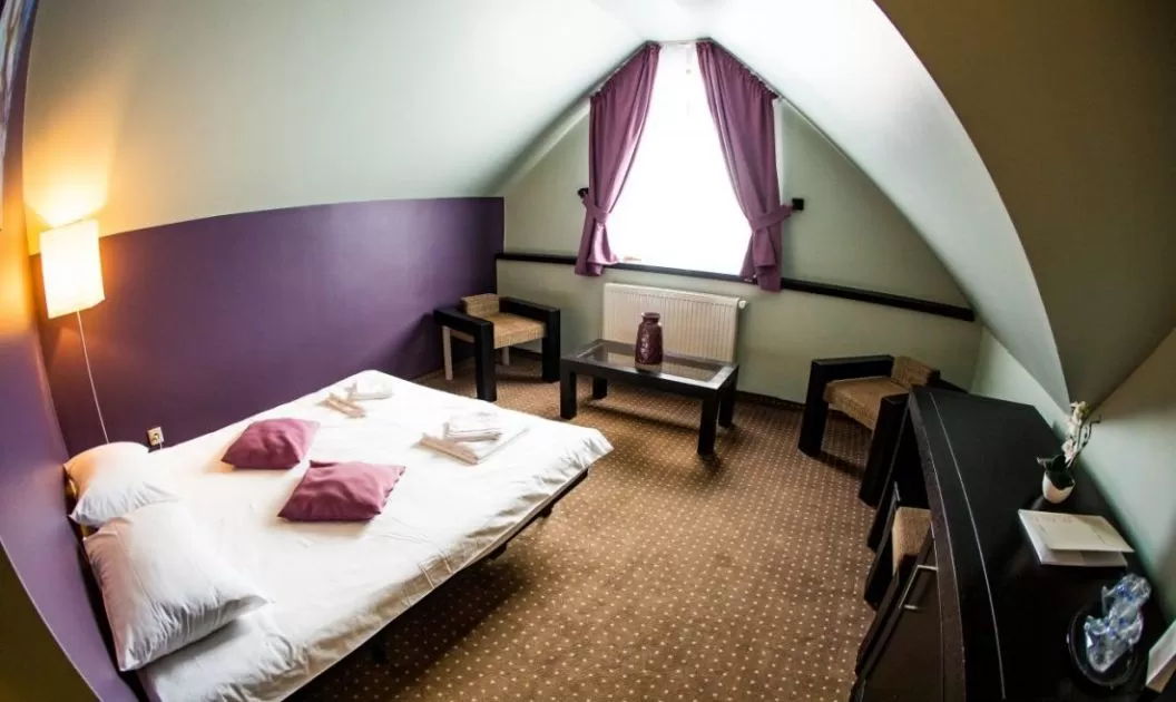 Cazare 2026 Targu Mures Hotel Arena