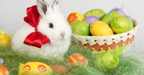 Sarbatori de Pasti 2026 Baile Olanesti Hotel Cascada