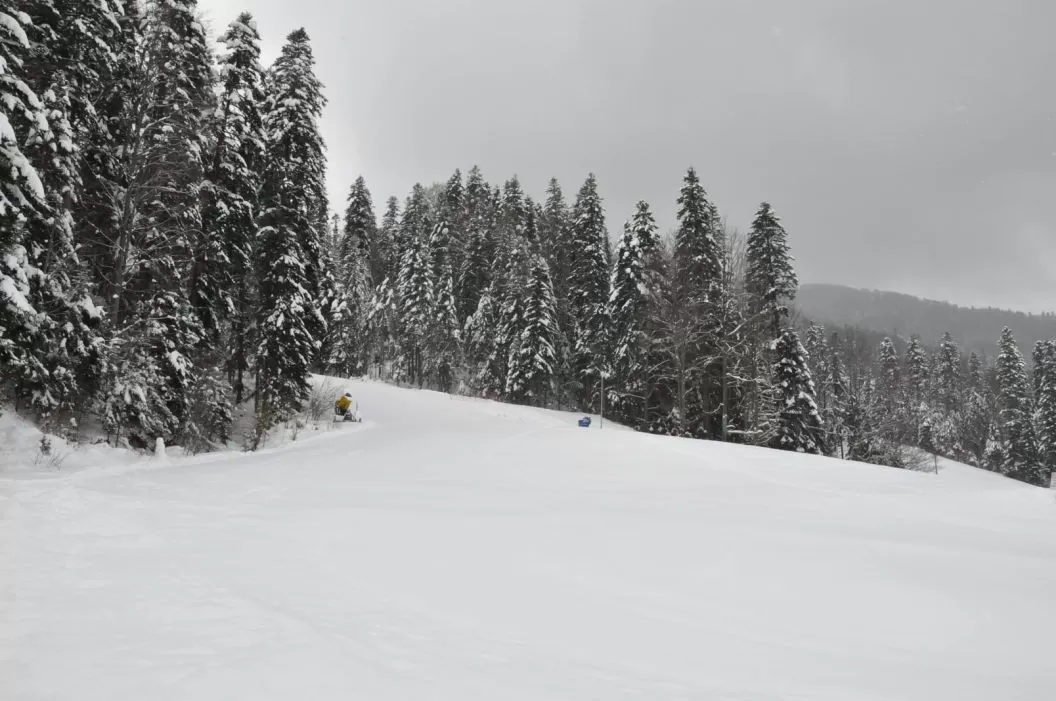 O saptamana la Munte 2023 Azuga Pensiunea Flora Alpina****