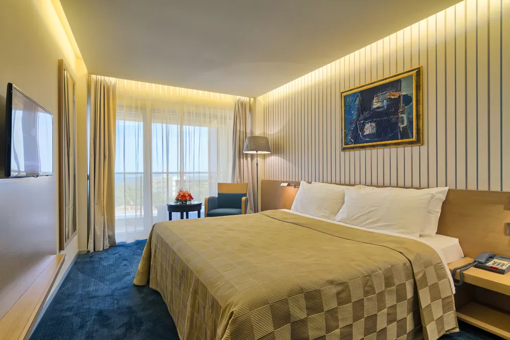 Revelion 2025 Mamaia Hotel Vega