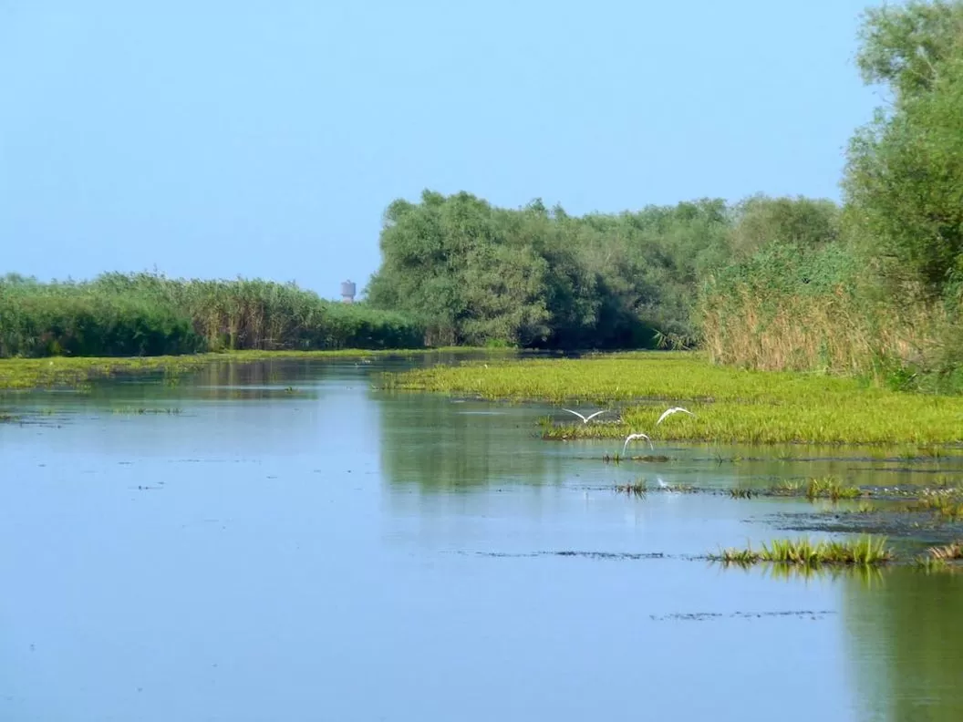 Vacanta 2025 Delta Dunarii Sulina Pensiunea Perla